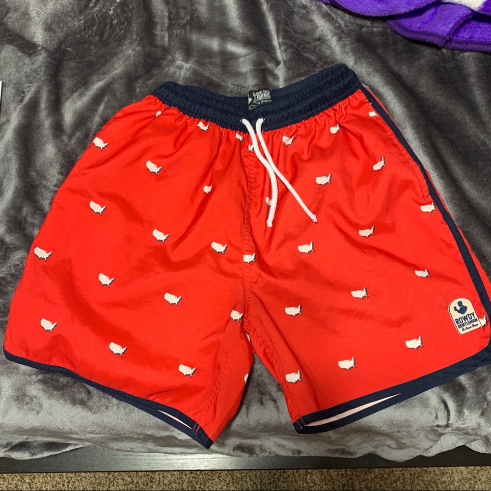 Rowdy Gentlemen swim trunks